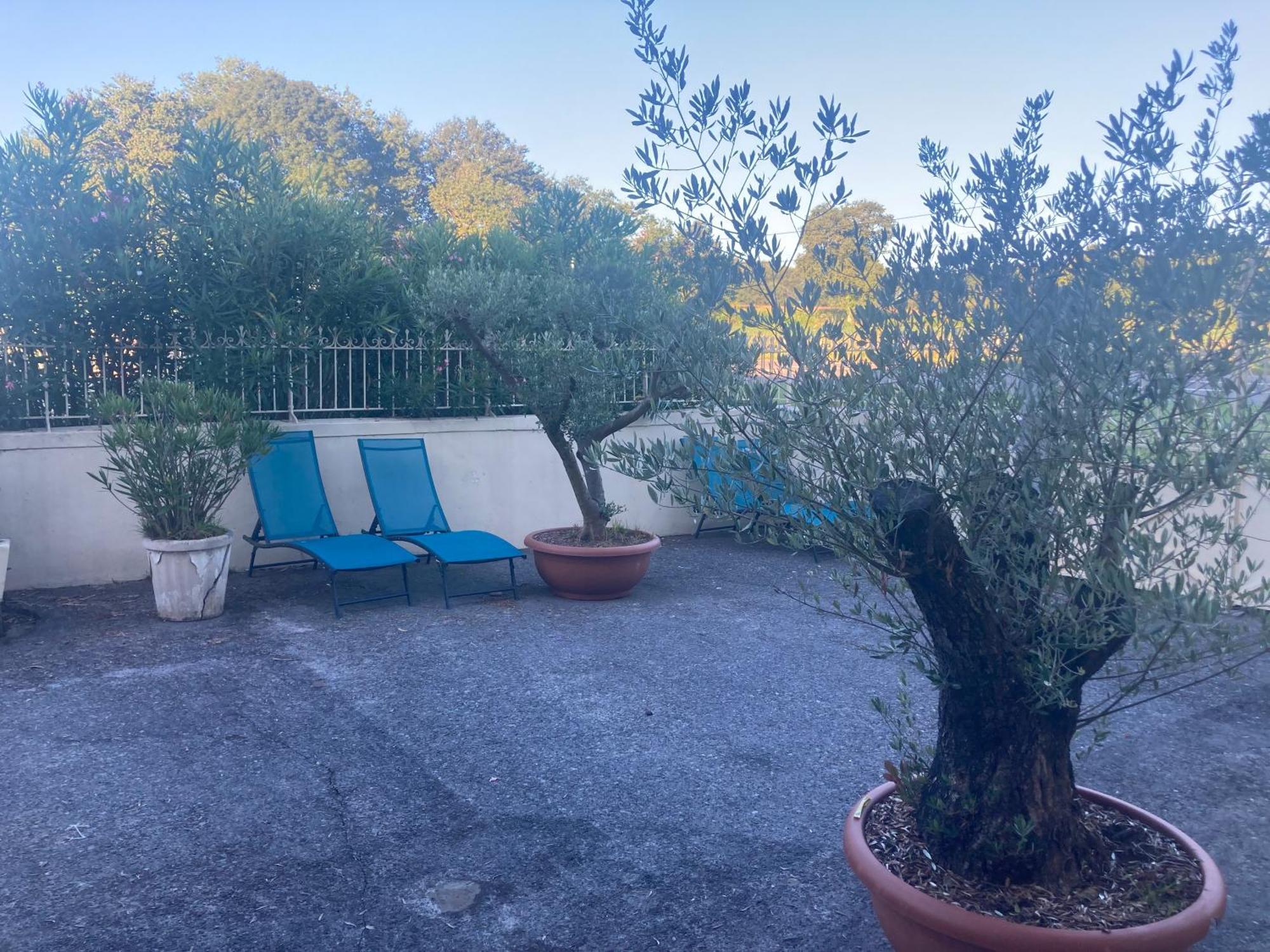 La Maison Du Soleil, L’aulhère * Oloron-Sainte-Marie
